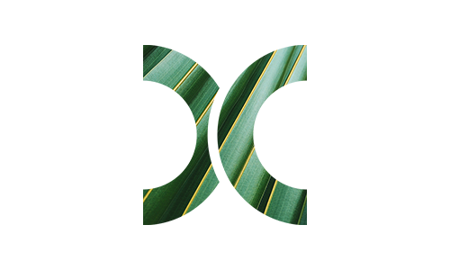 HKEX ESG Academy